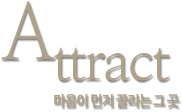 Attract. 마음이 먼저 끌리는 그 곳